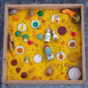Sensory Bin | Montessori | Waldorf | Preschool